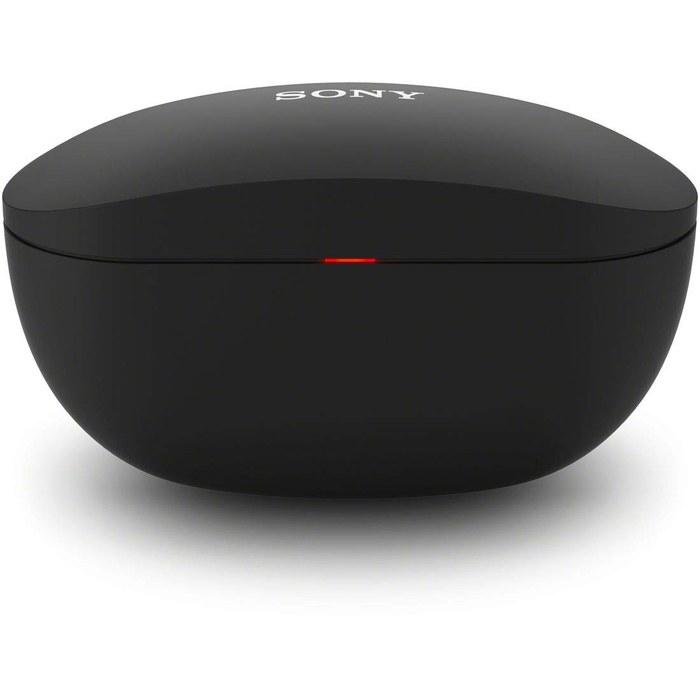 Sony WF-SP800N Wireless Noise Cancelling Earbuds (Black)