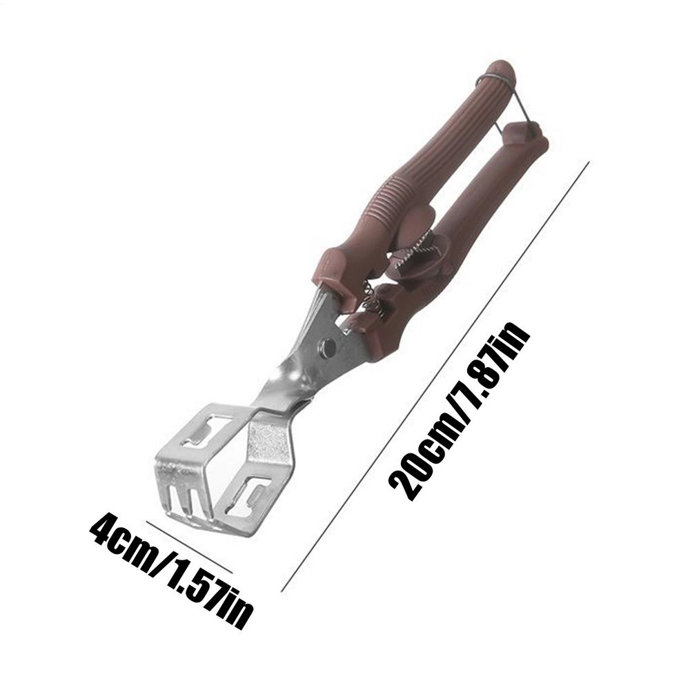 

Manual Chestnut Cracker & Peeler Tool, Multi-Purpose Nut Opener for Pecans Walnuts Almonds, Kitchen Camping Gift, Easy to Use