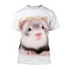 Summer 3D Printing Animal Cute Ferret T-shirt Men Women Casual Fashion Short Sleeve Oversized Round Neck Tees Children T Shirts
