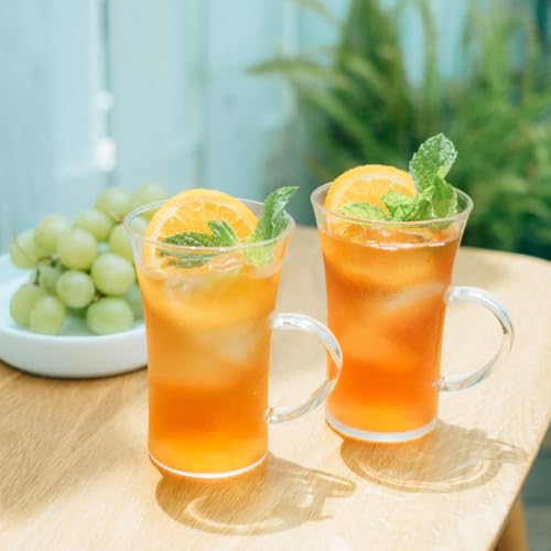 HARIO Heat-Resistant Hot Glass, 280ml, Coffee Glass, Microwave and Dishwasher Safe, Made in Japan, HGT-2T
