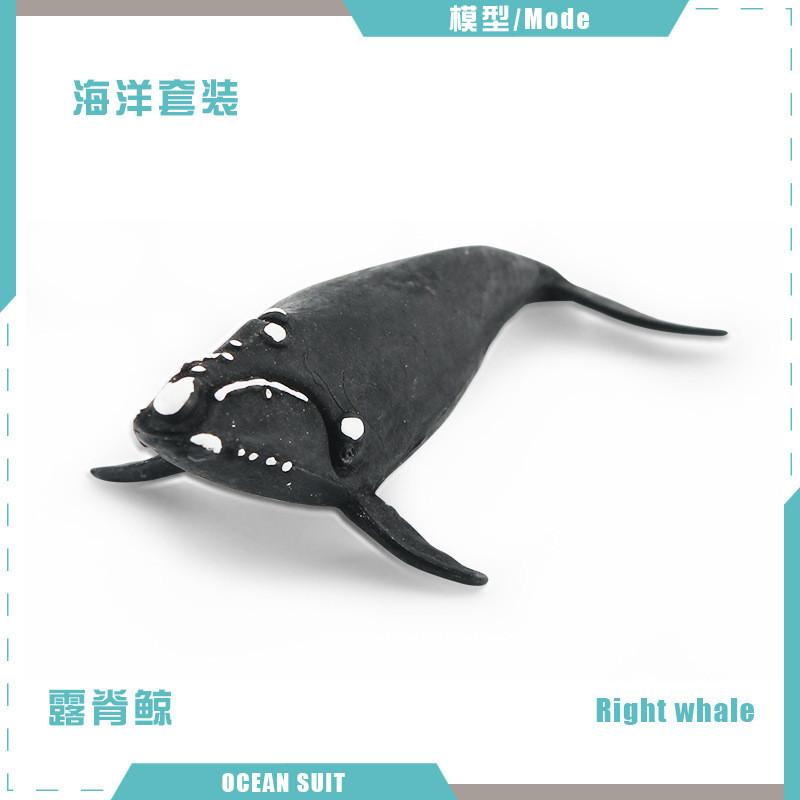 Zestaw modeli zwierząt oceanicznych premium z PVC, w tym rekiny, żółwie, delfiny, pingwiny i kraby do zabawy edukacyjnej