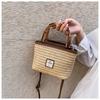 Textured Bamboo Handle Woven Bag for Thailand Tourism and Vacation Fashion Crossbody Straw Woven Bag