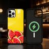 Watermelon Art Phone Case For iPhone 17/16/15/14/13/12/Plus/Pro/Max for Magnetic Wireless Charging