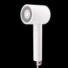 H300 Hair Dryer