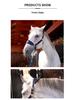 Cross-Border Anti-Wear Horse Muzzle Covers for Outdoor Equestrian Exercise