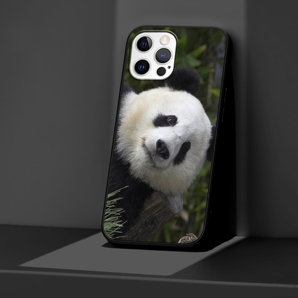 Chinesische Bär Panda Hülle für Apple iPhone 14 11 13 12 Pro Max XR 7 8 + SE 2020 XS 6 6s Plus 5 5s Schwarz Silikon Handyhülle Coque