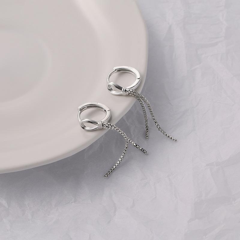 Tassel S925 sterling silver earrings women's long chain personalized earrings niche design advanced cold wind