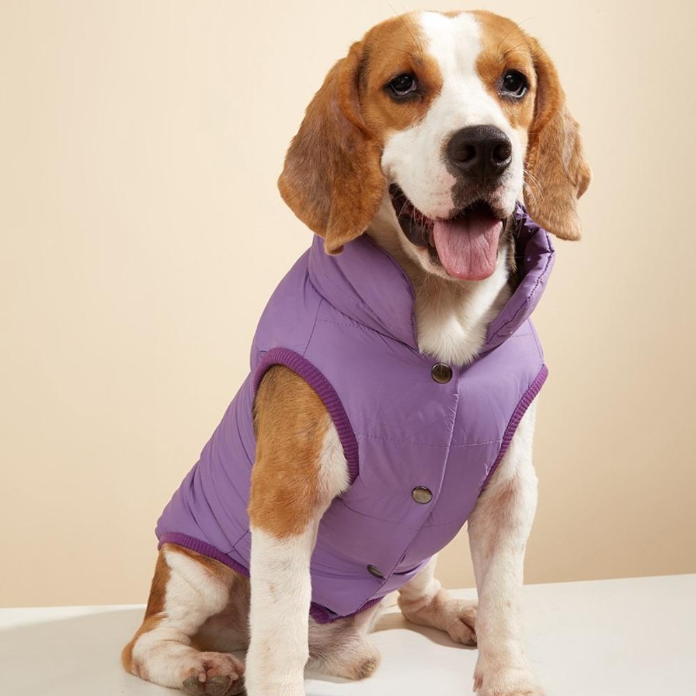 Pet Dog Clothing Small and Medium-sized Dog Autumn and Winter Cotton Jacket Teddy Thick Warm Clothes Jacket Vest Pet Accessories