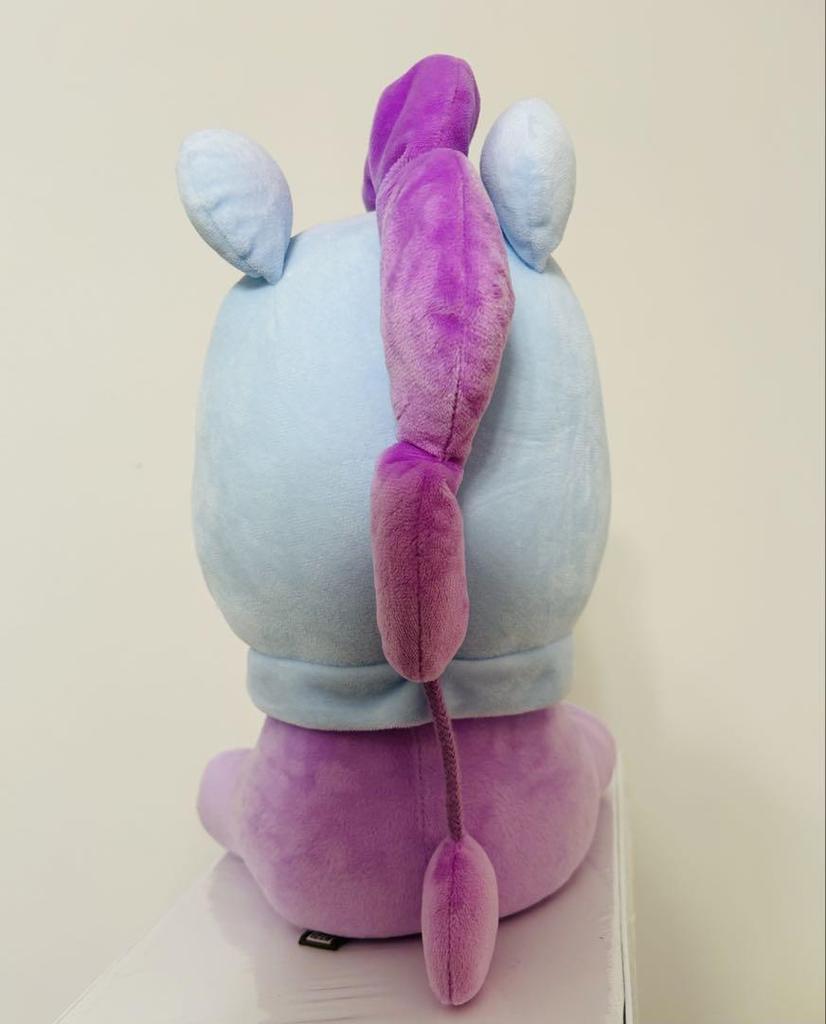 [USED] BTS J-Hope Plush Toy
