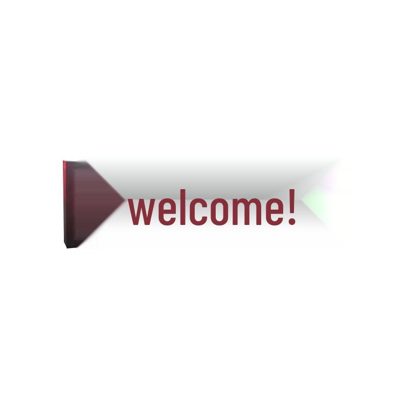 Lofit P3.75 Dual-Color LED Advertising Display Module CN Plug (adapter Included)