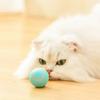 Cat toys kitten necessities cat toys for kids bulk Smart Rolling Ball Toy Fun Cat Sound Grinding Teeth Self Hi Undulator