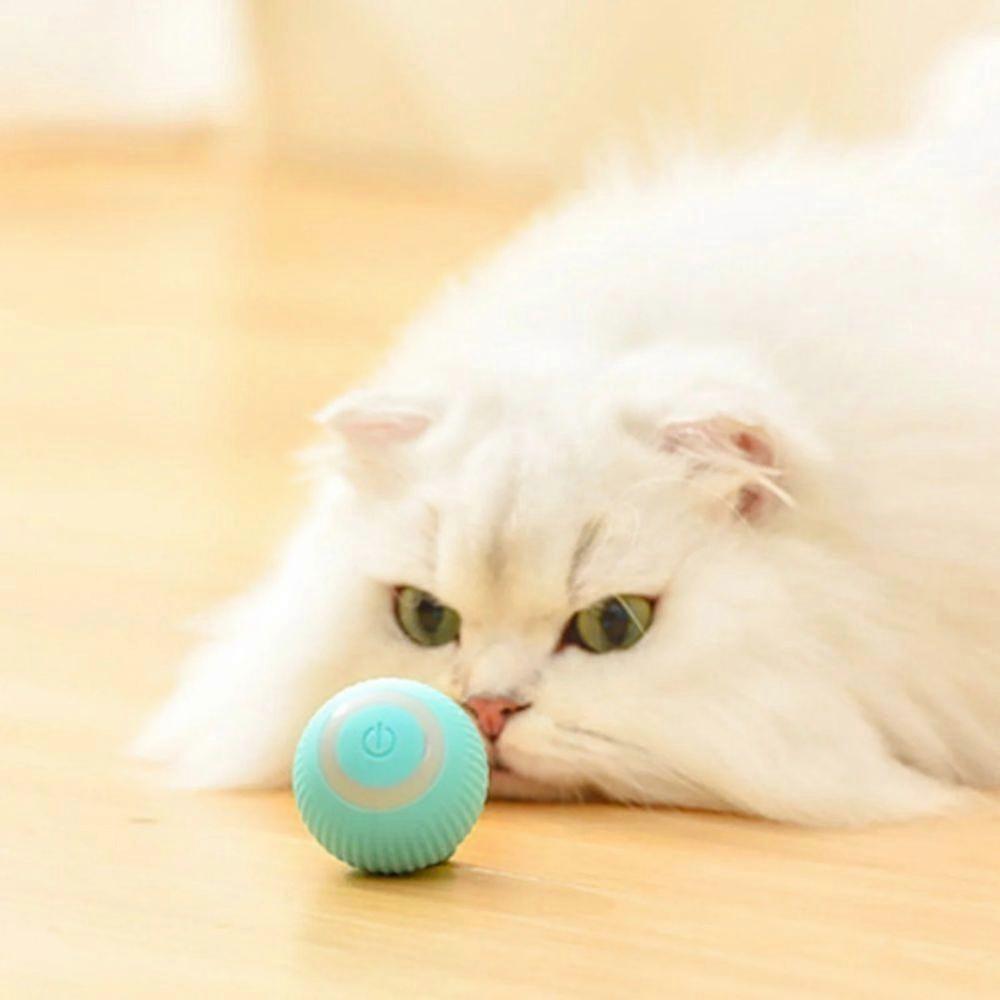 Cat toys kitten necessities cat toys for kids bulk Smart Rolling Ball Toy Fun Cat Sound Grinding Teeth Self Hi Undulator