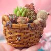 Durable Silicone Mold Alpacas Shape Basket Flower Pots Epoxy Molds Succulent Planter Pots Casting Mould Home Decorations