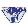 Men's  Fashion Strips Sexy Men's Brief Sexy Printed Swimsuit for Men Surfing Swimwear Low-Rise