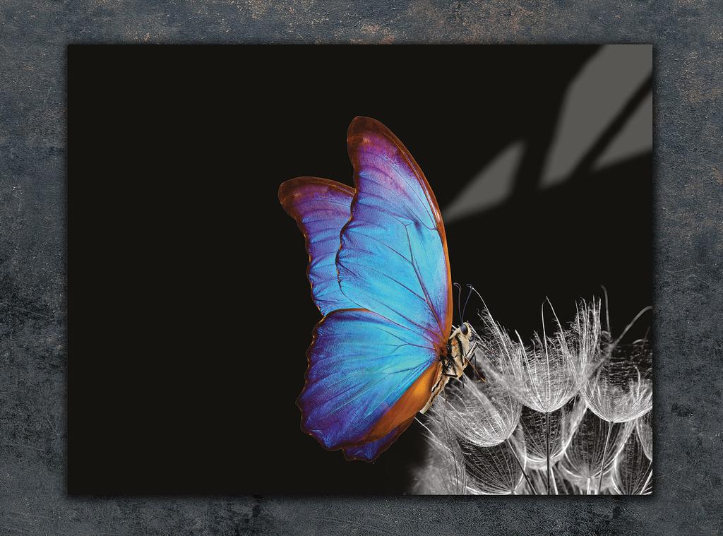 SZKLANA DESKA DO KROJENIA 40x30 MOTYL