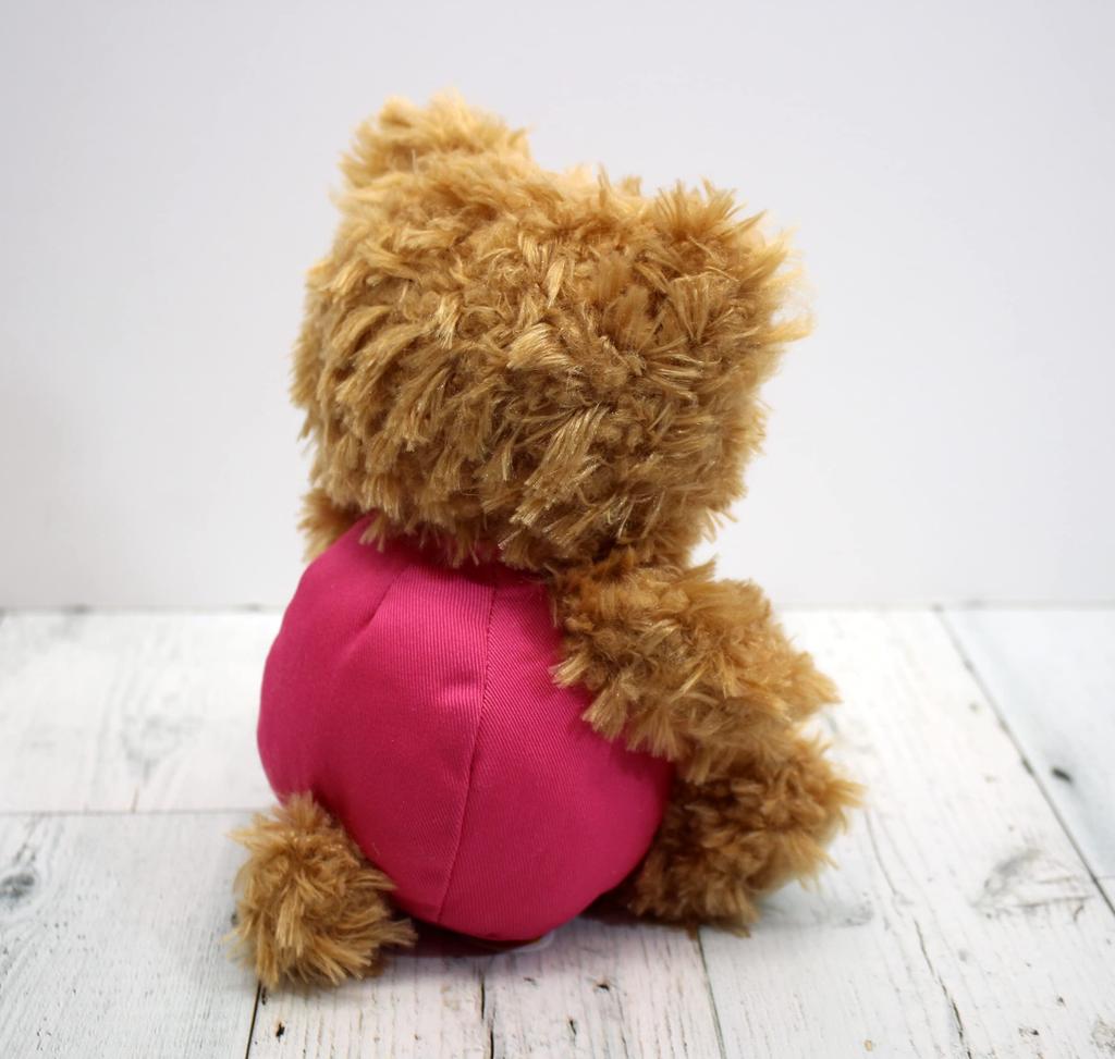 Takeoff Plush Toy October Brown BEAR'S365