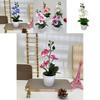 Butterfly Orchid 3d Faux Plant With Indoor Decor For Photography And Home Styling
