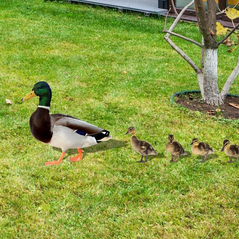 5 Pack Ducks Yard Signs with Stakes Acrylic Mirror Decorations for Outdoor Yard Lawn Garden Decoration Yard Art