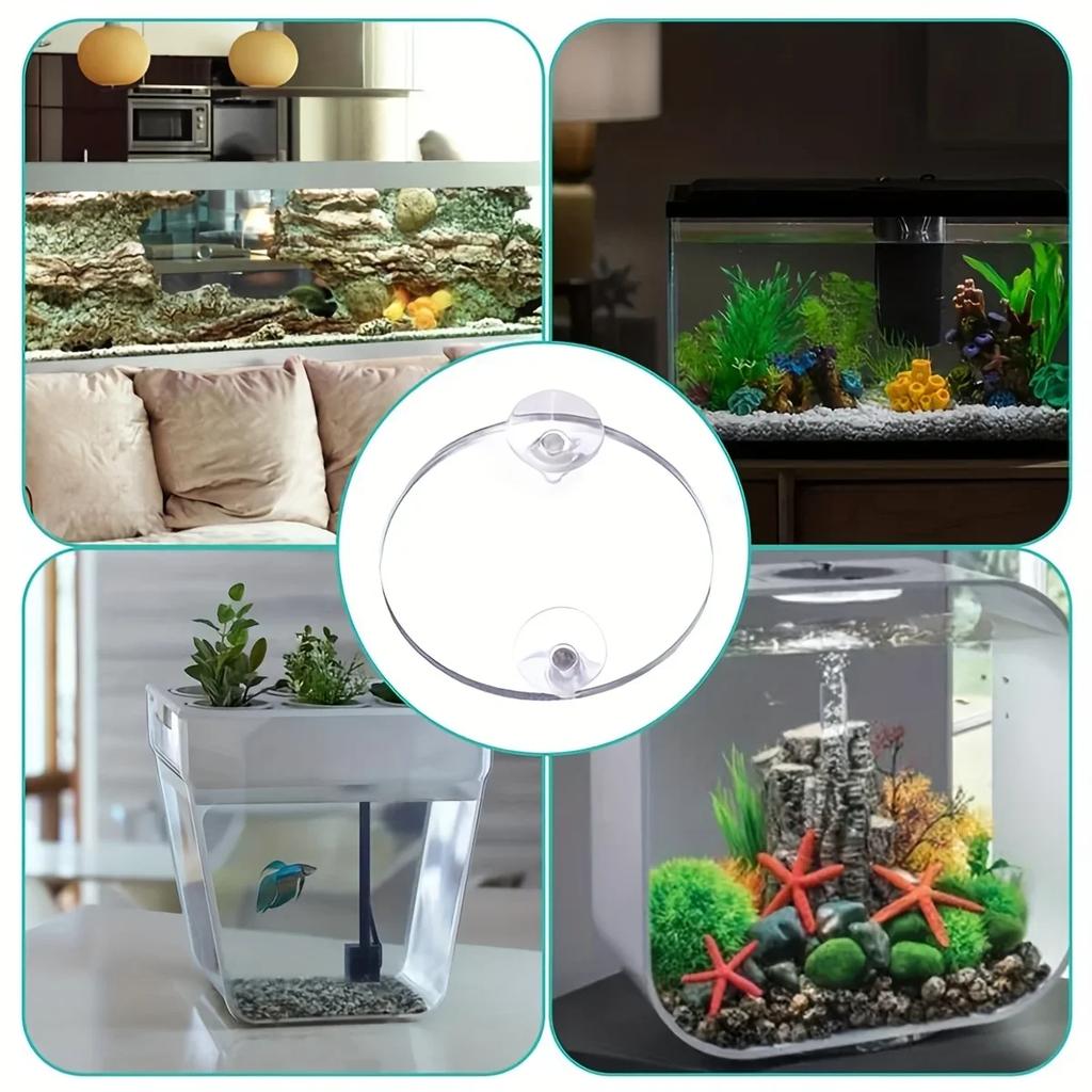 1pc-Betta Training Mirror Suction Cup Plus Fish Tank External Fish Mirror