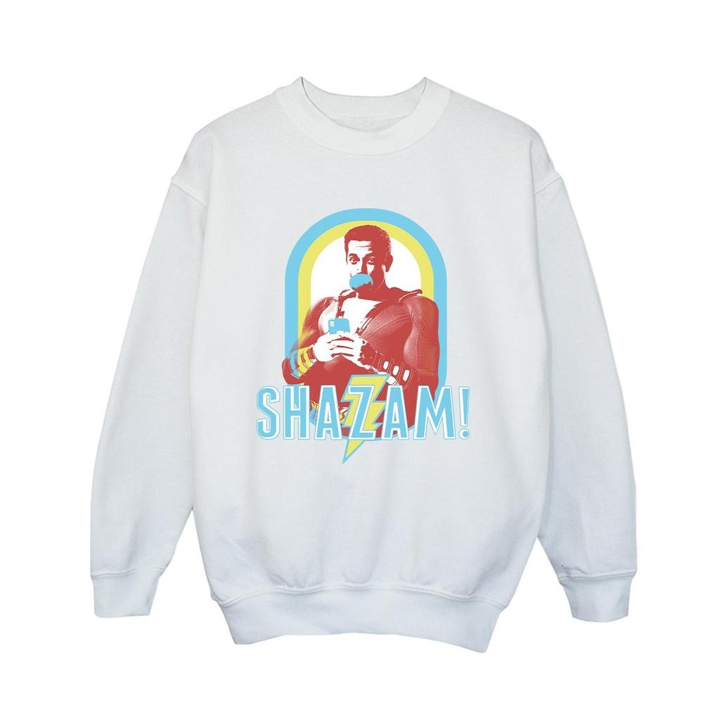 DC Comics Boys Shazam Buble Gum Frame Sweatshirt