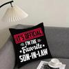 THE FAVORITE SONINLAW Cushion Cover Pillowcase Ultra Soft Skin Friendly Fabric Cloud Like Comfort  Concealed Zipper