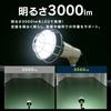Iris Ohyama LED Bulb for Floodlights, 3000lm, LDR25D-H-E39-E