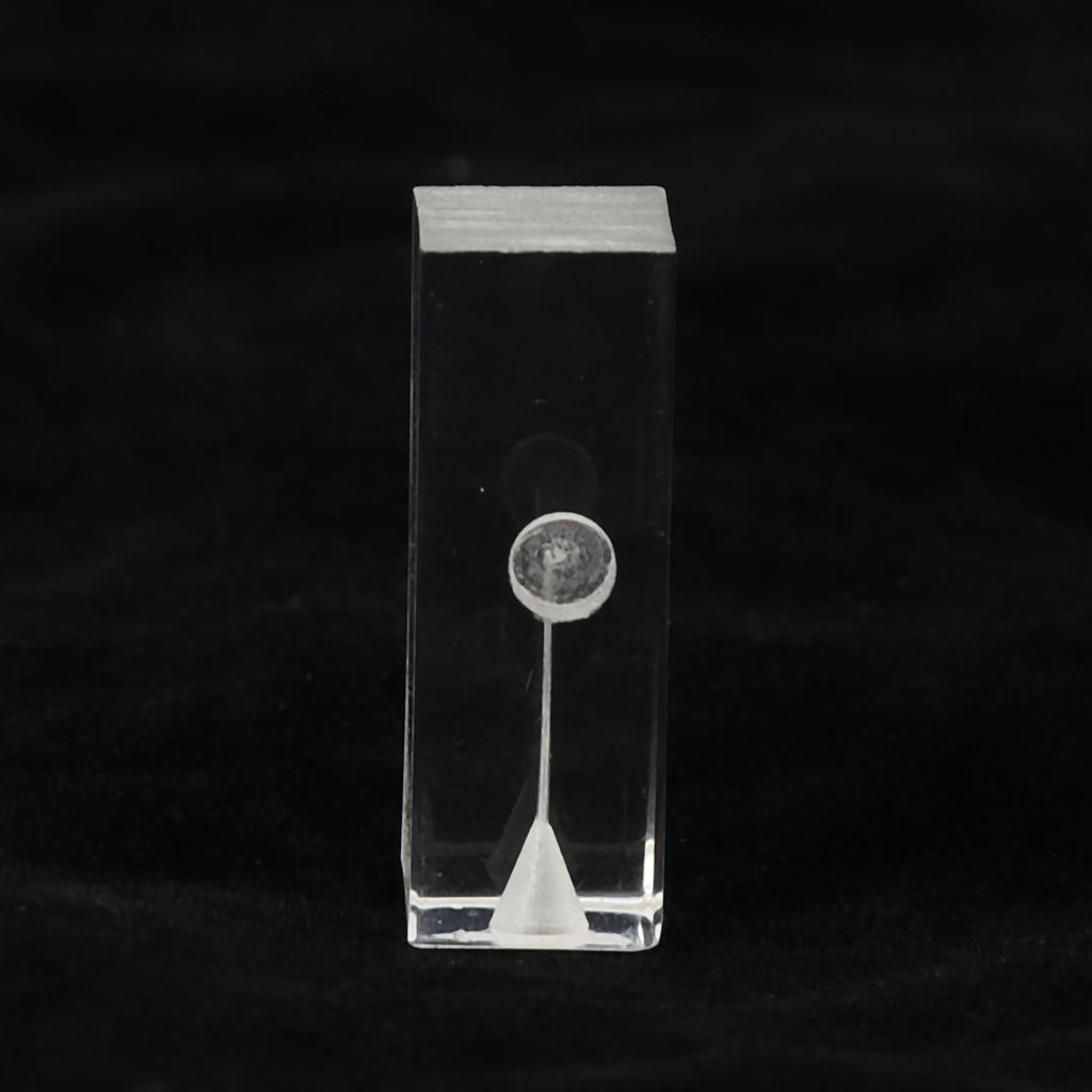 Root Canal Exercise Block Acrylic Transparent Clear Display Curved Oral Endodontic Root Model