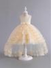 Children's Puffy Tulle Flower Girl Princess Dress - Wedding & Evening Performance Gown