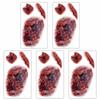 5PCS/SET Long-Lasting Bloody Scar Tattoos Decals Halloween Fake Wound Stickers  Film Props