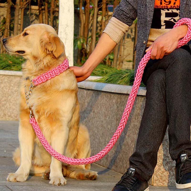 Strapazierfähiges Hundehalsband-Leine-Set, verstellbares Gehorsams-P-Kettenhalsband, Nylon-Hundeleine, Führleine für mittelgroße und große Hunde