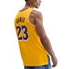 Nike Mens NBA Icon Edition Swingman LA Lakers Basketball Jersey