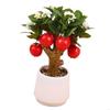 J0MC Artificial Simulation Fruit Branch Faux Miniature Fruit Stem Realistic Tree Branch Model for Office Desk Decors