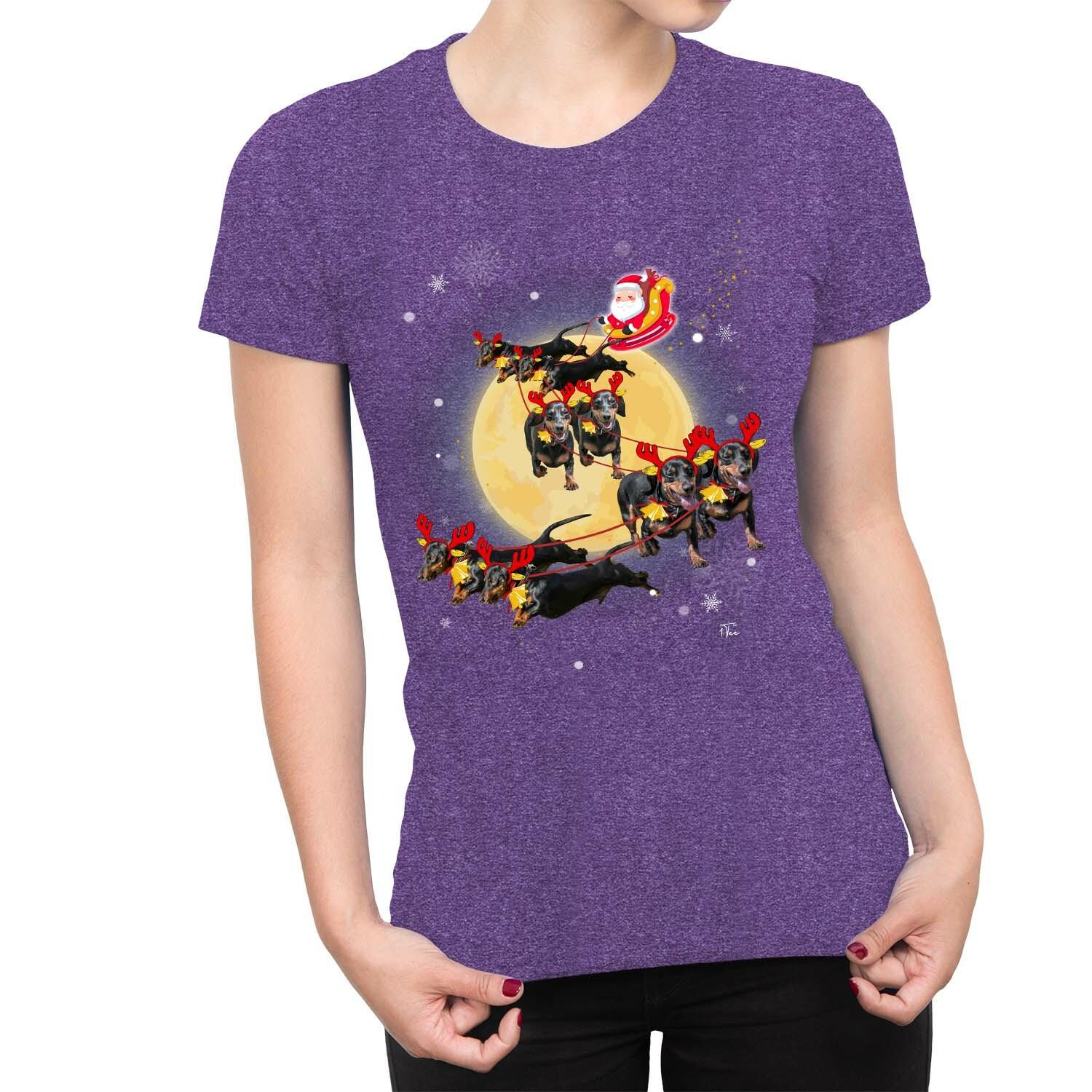 1Tee Womens Santas Sleigh Pulled by Dogs T-Shirt XXXXL