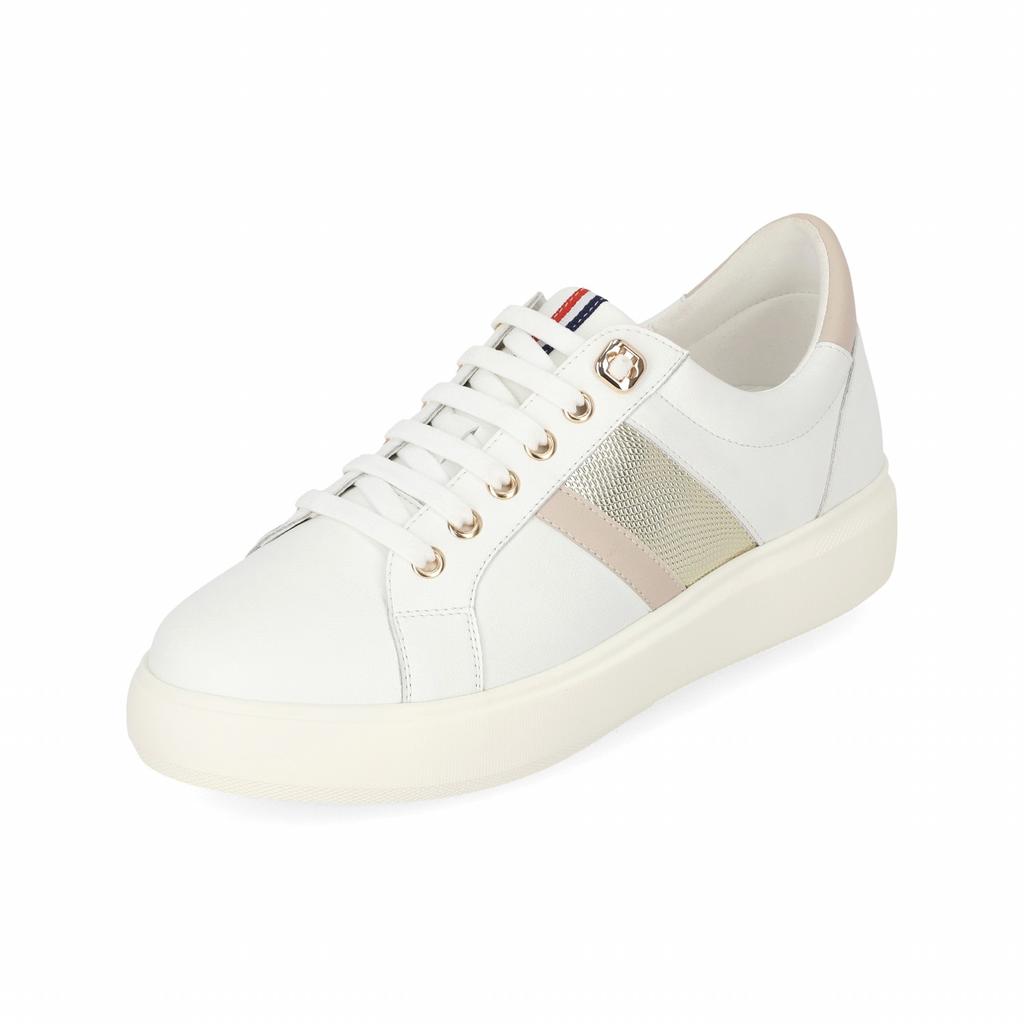 Elcanto Matsu Women'S Snake Point Sneakers 4Cm Lcws27M413