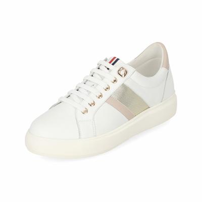 Elcanto Matsu Women'S Snake Point Sneakers 4Cm Lcws27M413