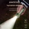FTLY Outdoor Flashlight & Camping Lantern