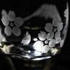 Kobo Edo Kiriko Sake Glasses Pair with Mount Crane Cherry Blossom Design Gift Box Included Made in Japan [Taimuro Official] Fuji, &