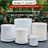 KEYSHEEL Cylindrical Plastic Planter Pots