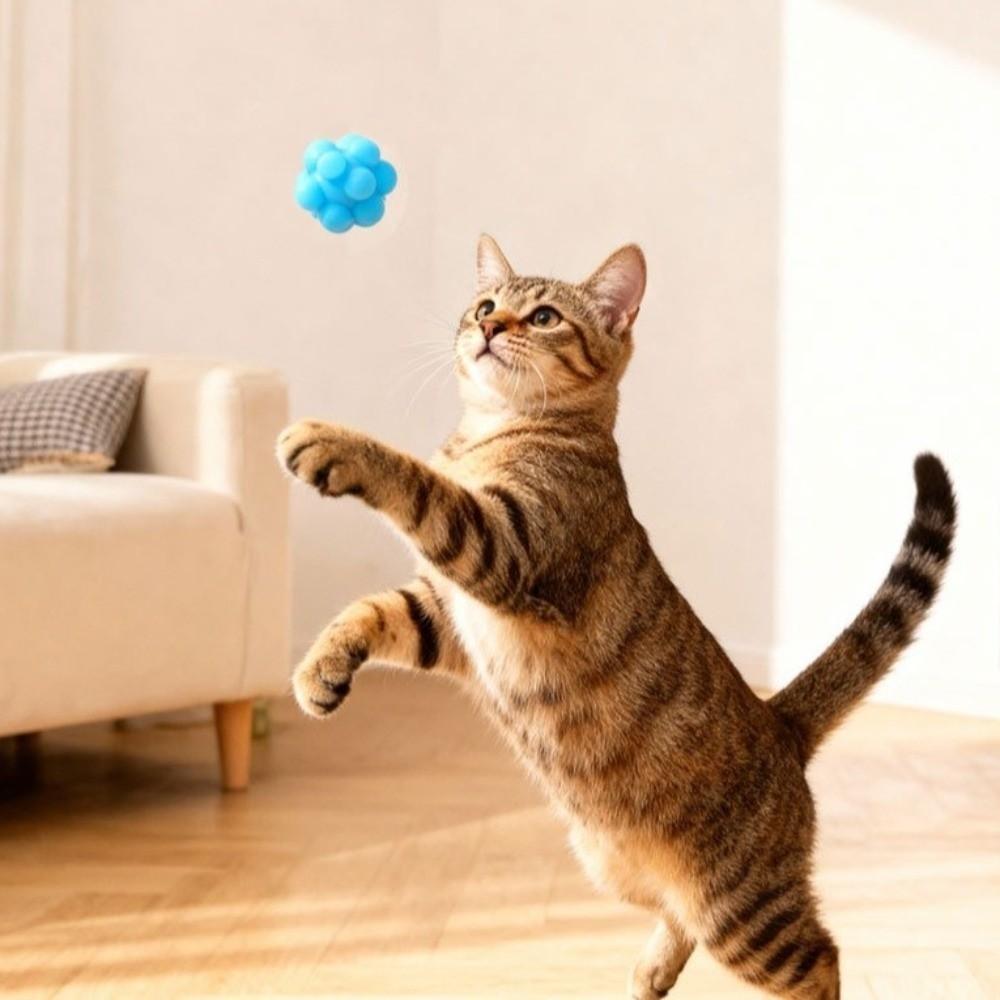 Bite-resistant Bouncy Ball High Elasticity Kitten Toy Cat Toy Supplies  Self-pleasure Relief