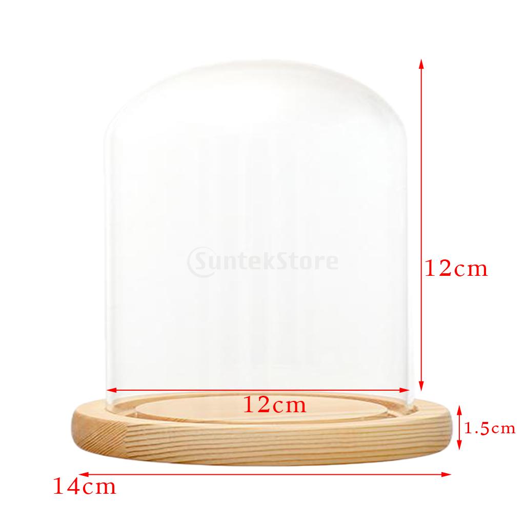 Clear Glass Display Dome with LED Wood Base Microlandscape Holder Glass Cover for Birthday Gift Bedroom Home Decoration