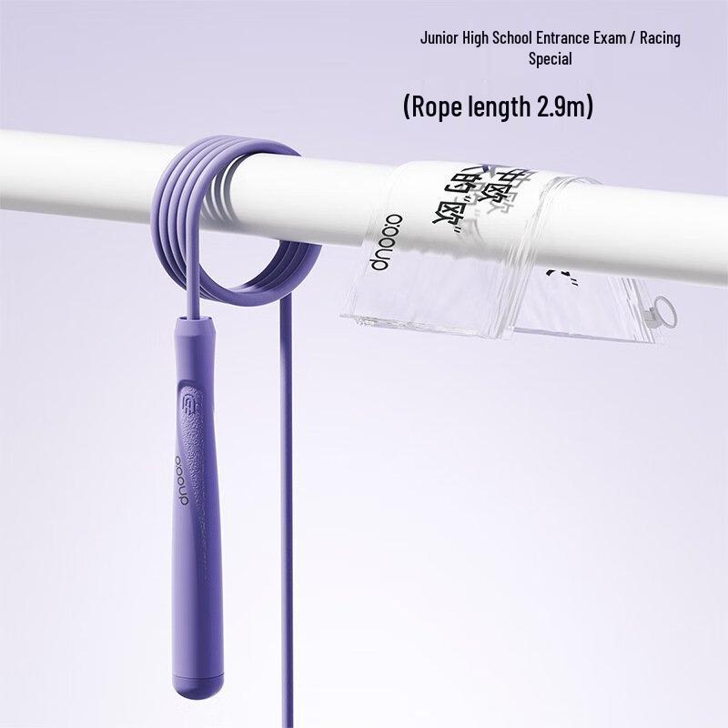 

Long Zhan Speed Weighted Jump Ropes, 2-Pack