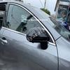 LHD RHD For BYD SEAL 5 dmi Chaser 05 Chazor King DM-i 2024 2025 ABS Side Mirror Cap Rearview Cow Corner Mirror Retrofit Cover