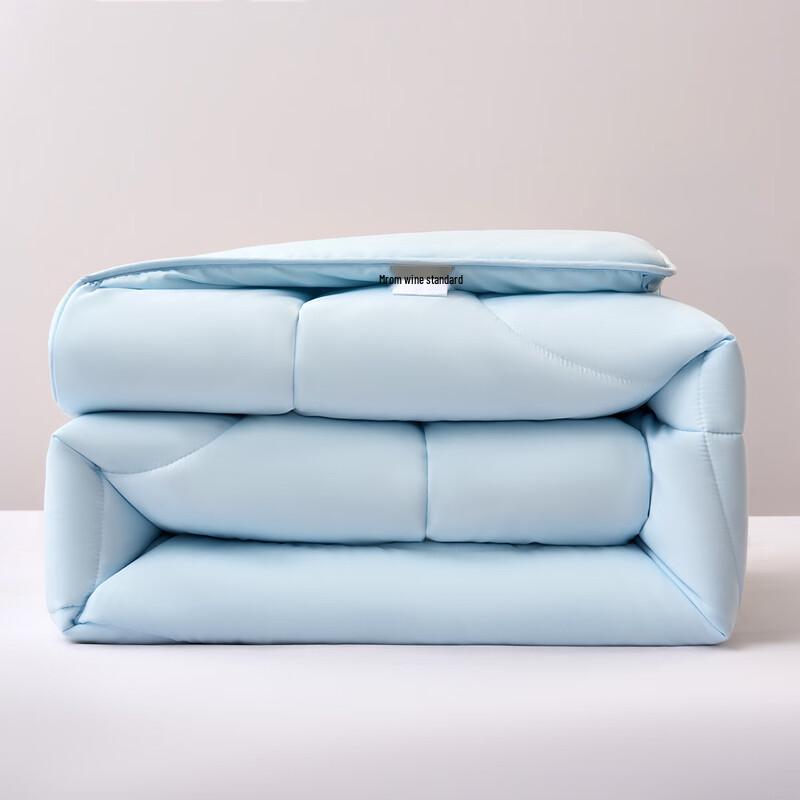 Mercury Home Textiles Soft Antibacterial Anti-mite Winter Quilt