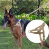 Cães – Colares e correias para cães