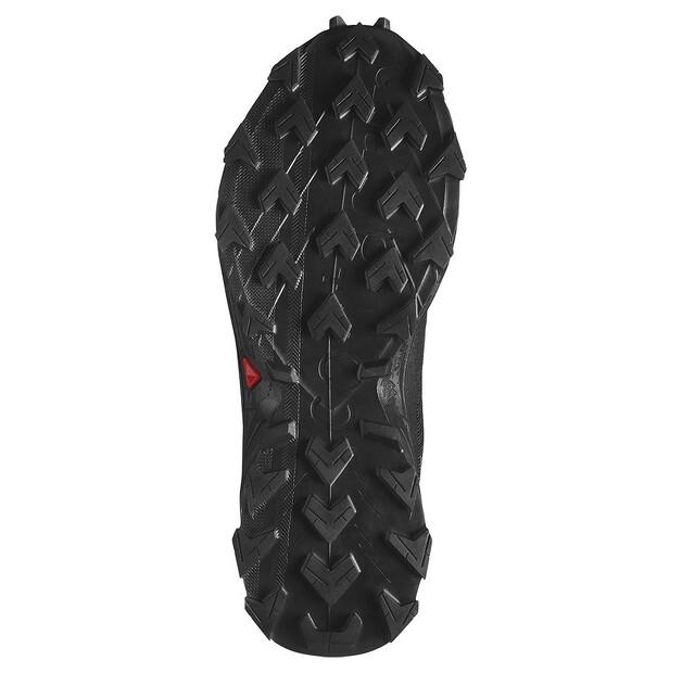 SALOMON Alphacross 5 Goretex-ის სარბენი ფეხსაცმელი