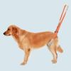 Pettorina per sollevamento cani Pet Rear Legs Support Aid Sling per cani anziani con scarsa stabilità, anca posteriore Zampa Disabile Lesione articolare