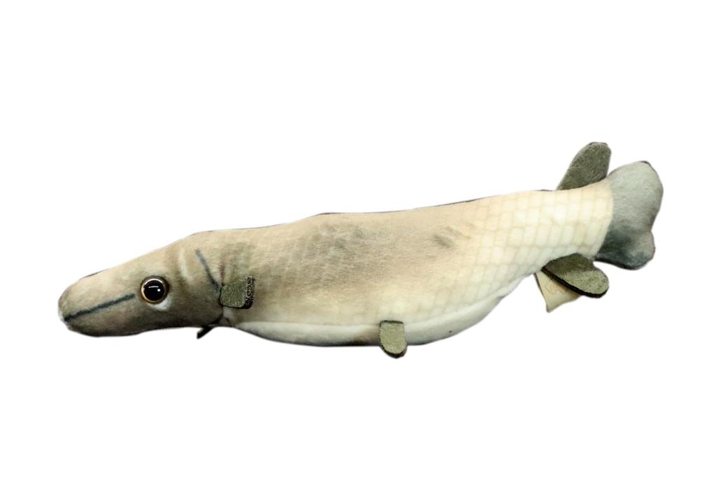 Take Off Pish Small and Colorful Stuffed Fish Alligator Gar
