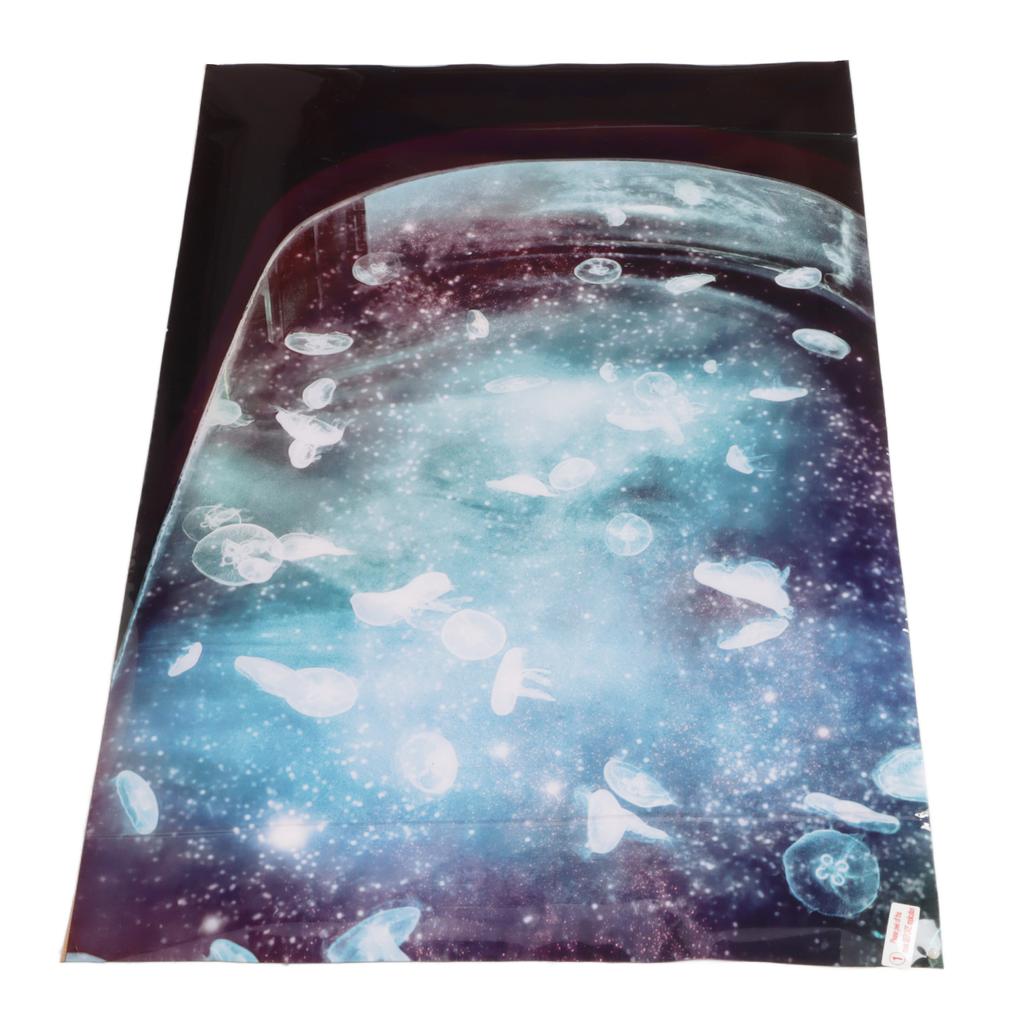 Aquarium Hintergrund PVC Mehrzweck 3D Effekte Fischbecken Dekoration Bild für Fischbecken Aquascape