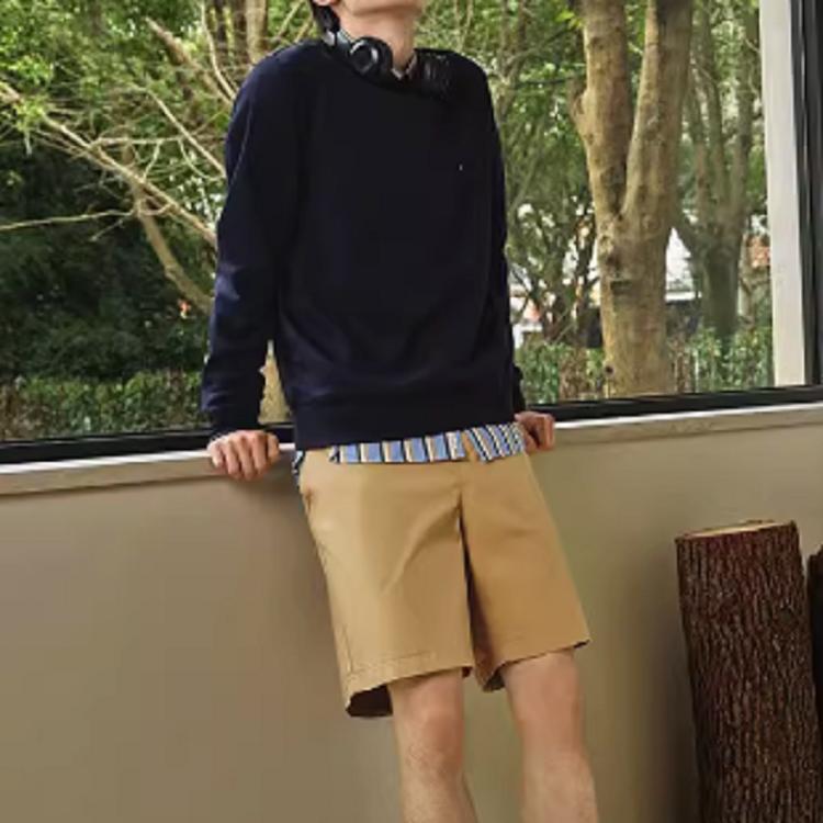 Tommy Hilfiger Casual Shorts Men's Khaki Brown C8178J3382-240