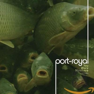 CD PORT-ROYAL - You Ware Nowhere  CATMD244 n5MD 2015 Nicht Japan Dance & Electronica Gebraucht